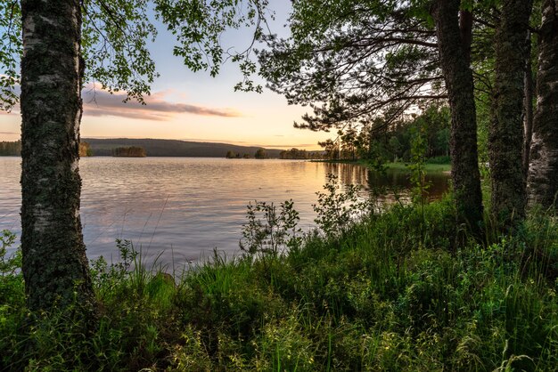 Mooi shot van een meer met omgeven door bomen bij zonsondergang