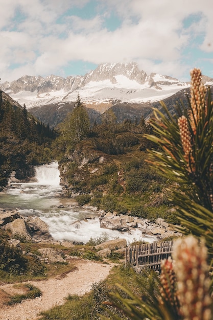 Mooi shot van een waterval in rotsen omgeven door groen