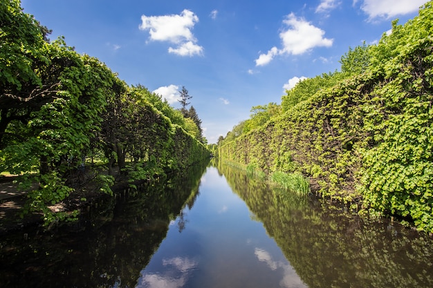 Mooi steegje met een rivier met de reflecties van de bomen in Gdansk, Polen