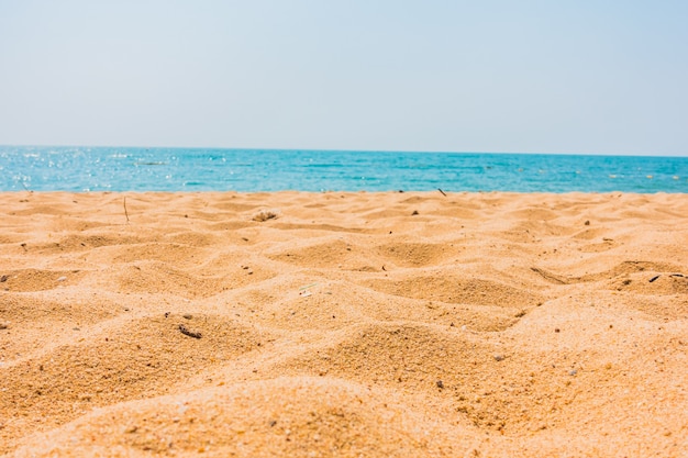 Mooi strand en zee met palmboom