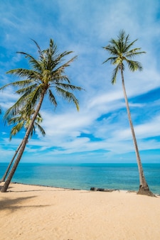 Mooi tropisch strandoverzees en zand met kokosnotenpalm op blauwe hemel en witte wolk