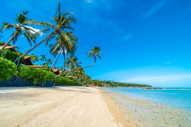 Mooi tropisch strandoverzees en zand met kokosnotenpalm op blauwe hemel en witte wolk