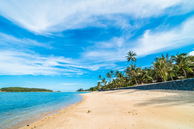 Mooi tropisch strandoverzees en zand met kokosnotenpalm op blauwe hemel en witte wolk