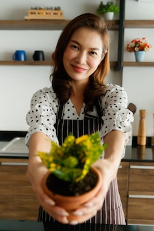 Mooie aziatische vrouw met een schort die kleine planten en bloemen in de tuin vasthoudt en toont met een glimlach en een blij gezicht. hobby en vrije tijd werkconcept.