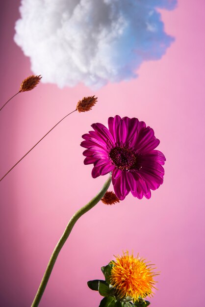 Gratis foto mooie bloemen en pluizige wolk