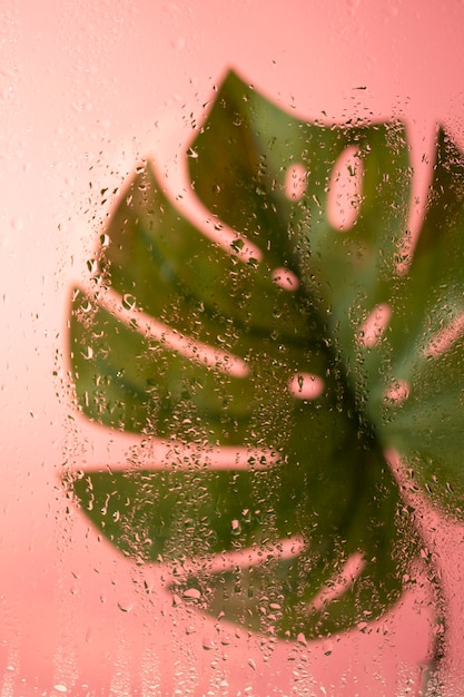 Mooie bloemen gezien achter vochtigheidsglas