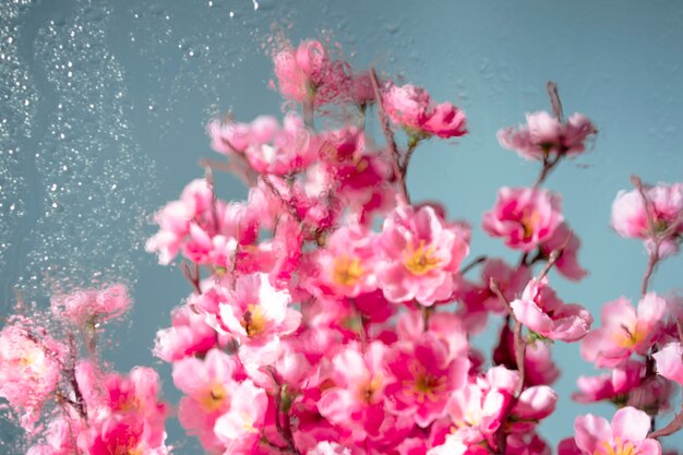 Mooie bloemen gezien achter vochtigheidsglas