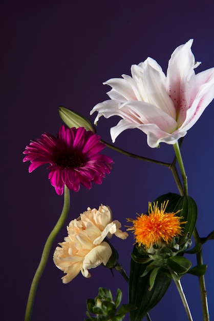 Mooie bloemen met paarse achtergrond