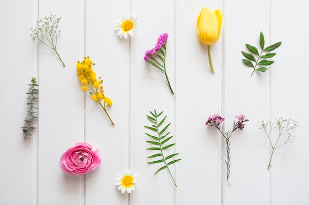 Mooie bloemen op wit houten oppervlak