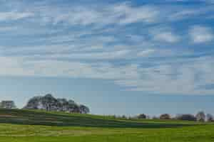 Gratis foto mooie bomen op de met gras bedekte heuvel onder de wolken aan de hemel