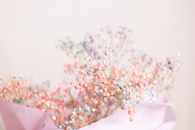 Mooie decoratie schattige kleine gedroogde kleurrijke bloemen, behang.