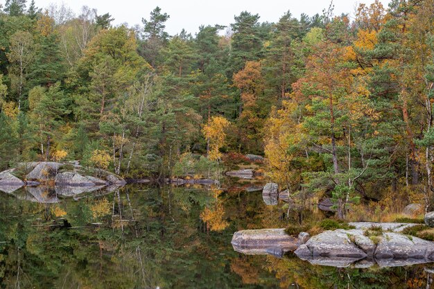 Mooie foto van herfstbomen en hun weerspiegeling in het water