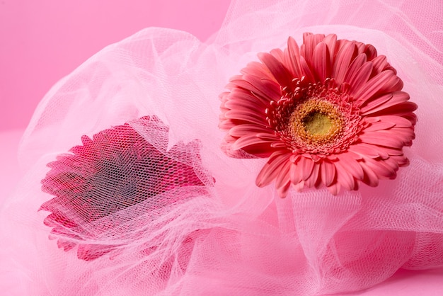 Gratis foto mooie gerbera en roze sluier