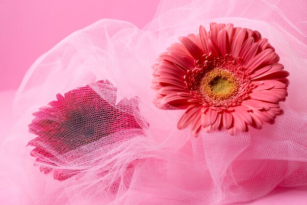 Mooie gerbera en roze sluier