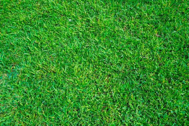 Gratis Foto mooie groei kleur achtergrond wallpaper patroon