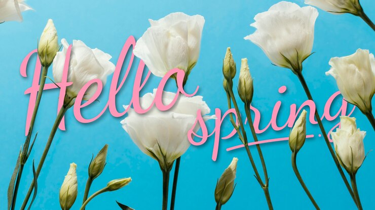 Gratis Foto mooie hallo lente collage