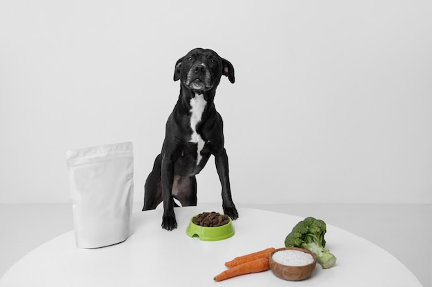 Gratis foto mooie hond met voedzaam eten