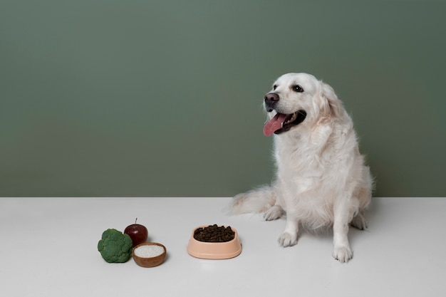 Gratis foto mooie hond met voedzaam eten