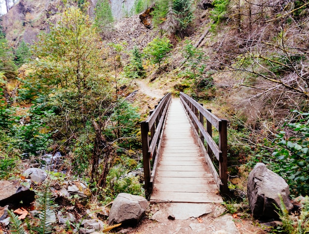 Mooie houten brug in de bergen die leidt tot een avontuurlijke wandeling