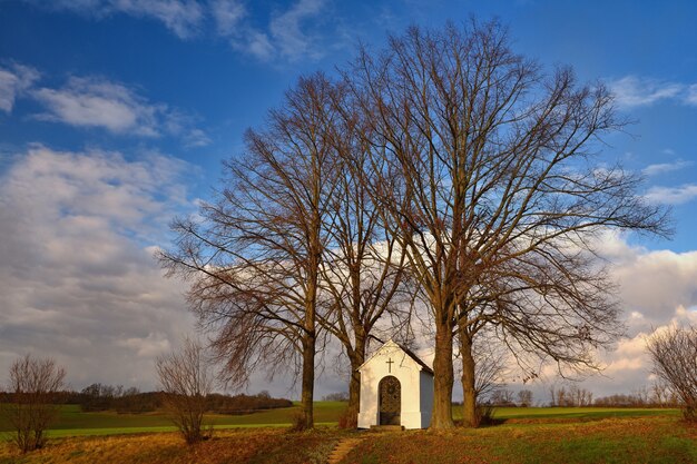 Mooie kleine kapel met landschap en bomen bij zonsondergang. Nebovidy - Tsjechische Republiek.