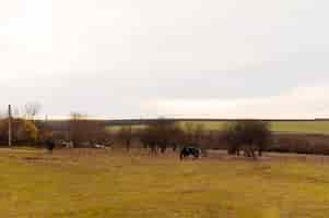 Gratis foto mooie landelijke boerderijstal