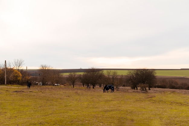 Mooie landelijke boerderijstal