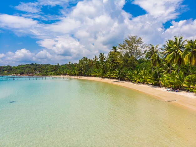 Mooie luchtfoto van strand en zee met coconut palmboom