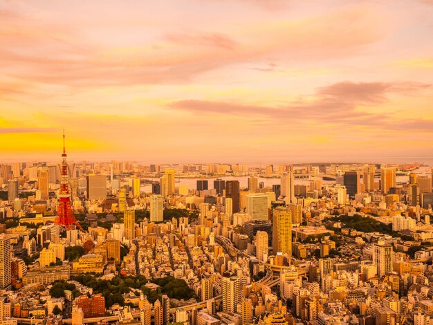 Mooie Luchtmening van architectuur en de bouw rond de stad van Tokyo in zonsondergangtijd