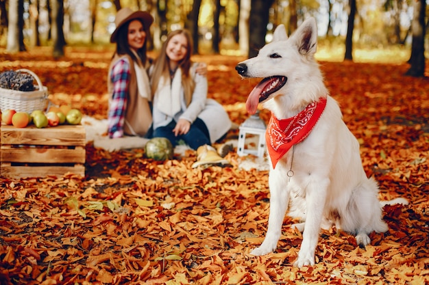 Mooie meiden hebben plezier in een herfstpark