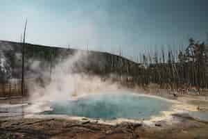 Gratis foto mooie mist die oprijst uit de grond bij de bomen die zijn vastgelegd in yellowstone national park, vs