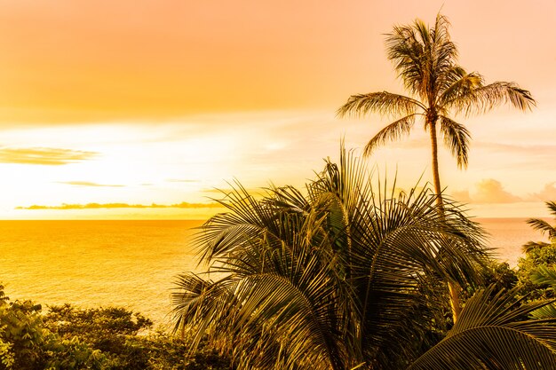 Mooie openlucht tropische strandoverzees rond samuieiland met kokosnotenpalm en andere in zonsondergangtijd