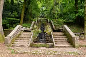 Gratis foto mooie opname in het nationale bos van bucaco luso portugal