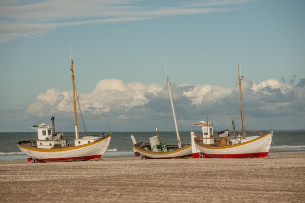 Mooie opname van boomschepen op een strand