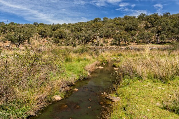 Mooie opname van de rivier en het landschap in Salorino, Spanje