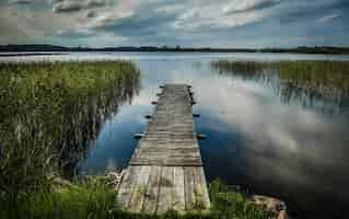 Gratis foto mooie opname van een ligplaats omringd door watergras