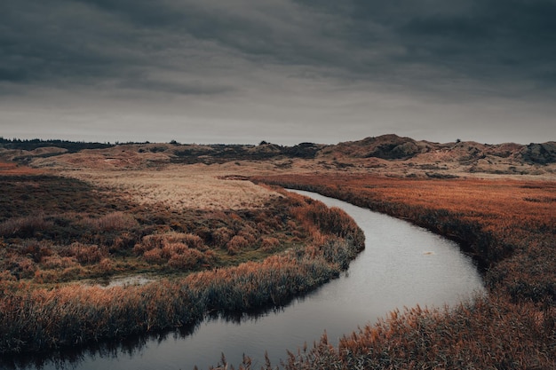 Gratis foto mooie opname van een meer in een bos onder de bewolkte lucht