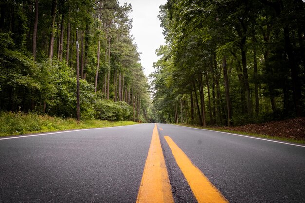 Mooie opname van een weg met bomen