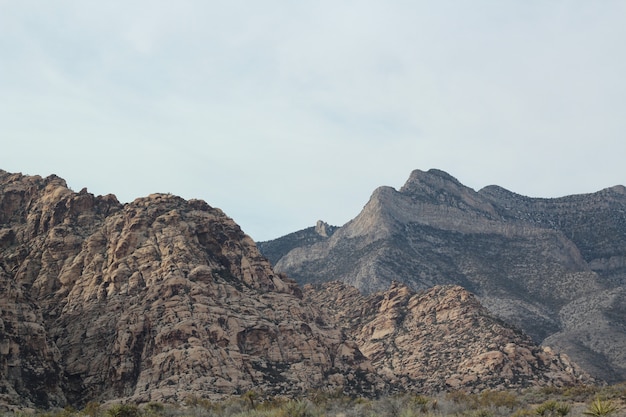 Mooie Rode Rotscanion die in Nevada wordt genomen