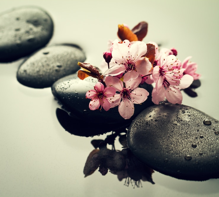 Gratis Foto mooie roze spa bloemen op spa hot stones op water natte achtergrond. zijcompositie. copy space. spa concept. donkere achtergrond.
