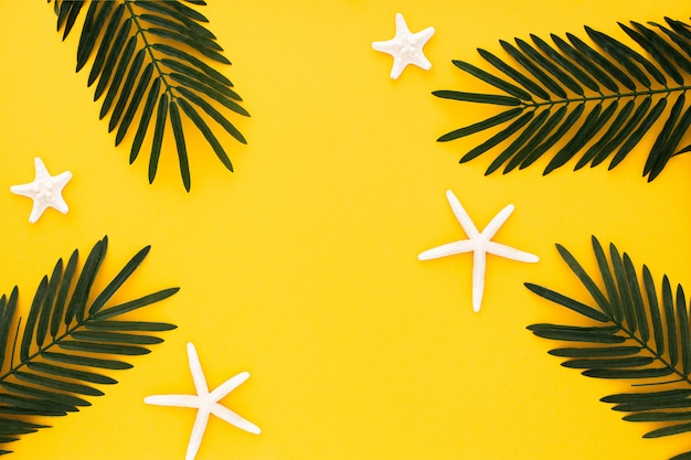 Mooie samenstelling met palmbladen en zeesterren op gele achtergrond