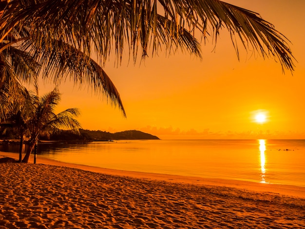 Gratis foto mooie tropische strandoverzees en oceaan met kokosnotenpalm in zonsopgangtijd