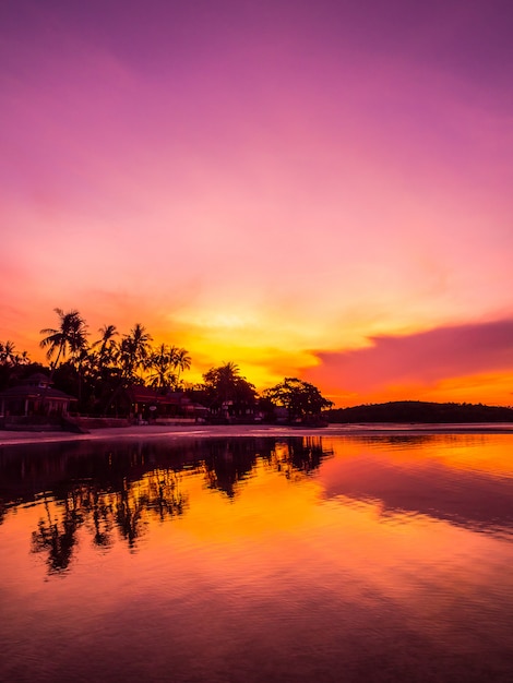 Mooie tropische strandoverzees en oceaan met kokosnotenpalm in zonsopgangtijd