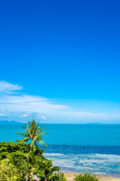 Mooie tropische zee oceaan met kokosnoot palm op blauwe hemel witte wolk