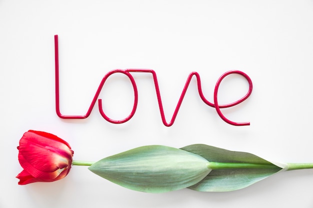 Gratis foto mooie tulp onder liefde schrijven