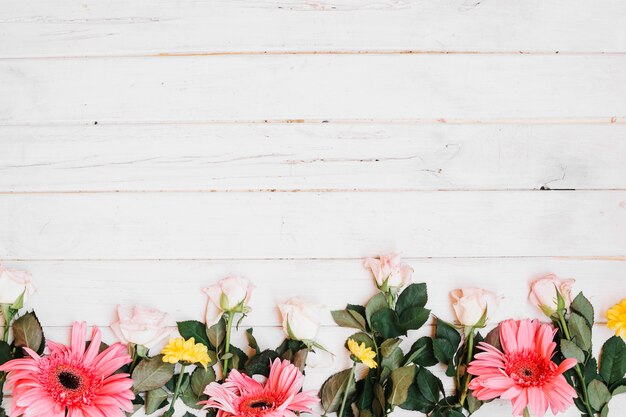 Mooie verschillende gekleurde bloemen