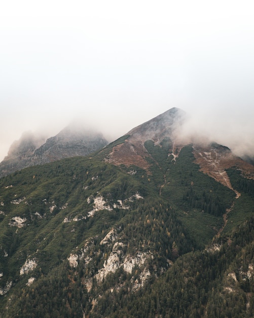 Mooie verticale opname van de top bedekt met bosbomen en mist bovenop