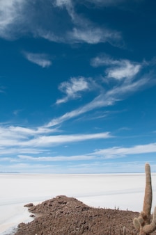 Mooie verticale opname van de zoutvlakte in isla incahuasi, bolivia