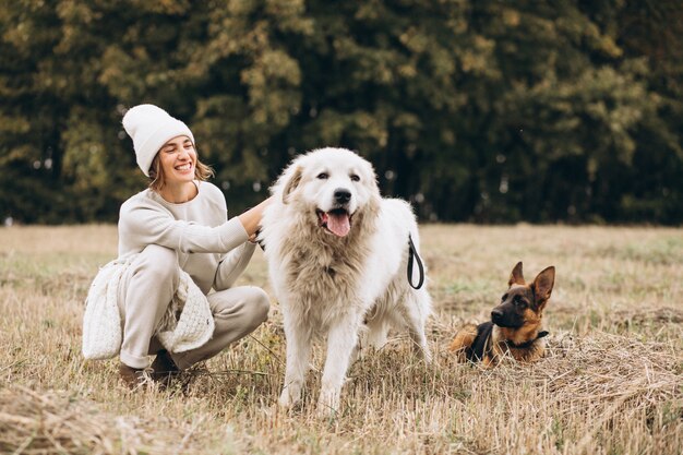 Mooie vrouw die haar honden op een gebied uitstapt