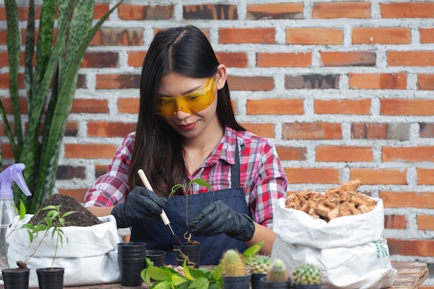 Mooie vrouw die lacht tijdens het kweken van planten