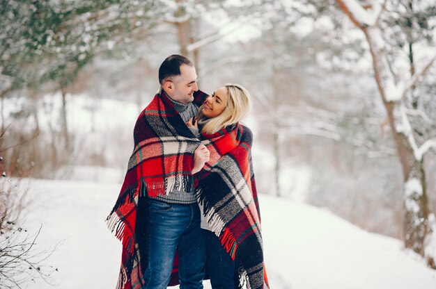 Mooie vrouw in een winter park met haar man